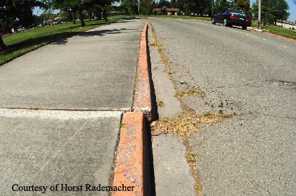 Photo of an offset curb