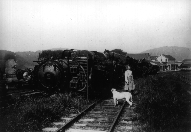 Train knocked over at Pt. Reyes Station.