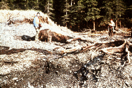 Photo of earthquake