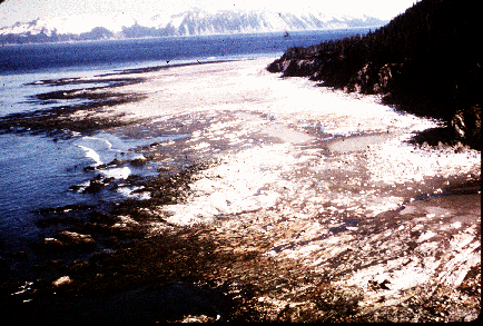 Photo of earthquake