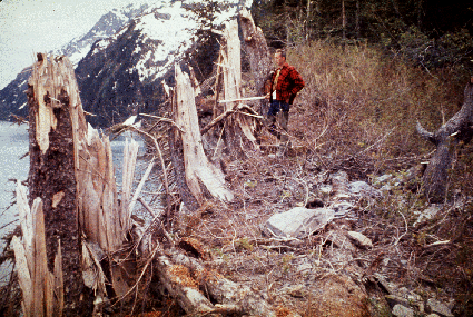 Photo of earthquake