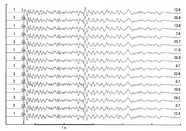 Vertical component seismograms from clustered icro-earthquakes on the San Andreas fault at Parkfield.