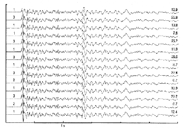 Vertical component seismograms from clustered icro-earthquakes on the San Andreas fault at Parkfield. 