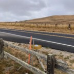 North - July 17, 2025 (6 of 51)