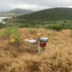 South - June 9, 2025 (3 of 27)