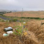 West - June 9, 2025 (4 of 27)