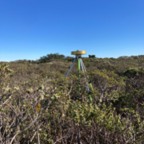 East - December 9, 2025 (2 of 32)