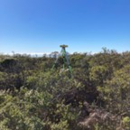 South - December 9, 2025 (3 of 32)