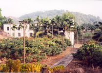 Site Photo