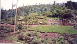Site Photo