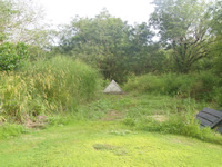 Site Photo