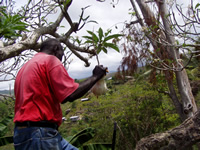 Site Photo