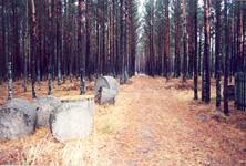 Site Photo