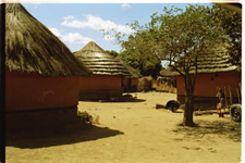 Site Photo