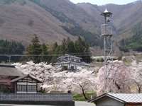 Site Photo