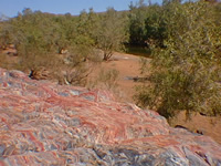 Site Photo