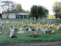 Site Photo