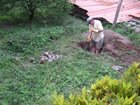 Site Photo