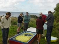 Site Photo
