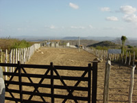 Site Photo