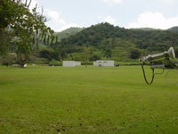 Site Photo