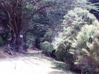 Site Photo