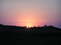 Site Photo
