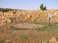 Site Photo